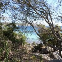 Artara Corsica