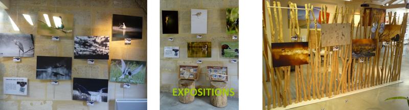 Exposition de peinture « la nature » de l'association Ombres et lumières à Terres d'Oiseaux