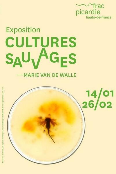 "Cultures Sauvages" - Marie Van de Walle