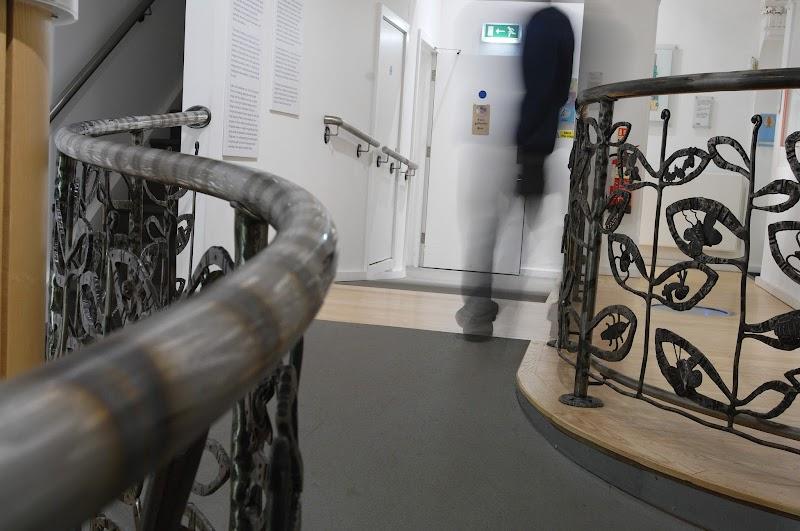 Hove Museum & Art Gallery