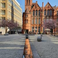 Ikon Gallery