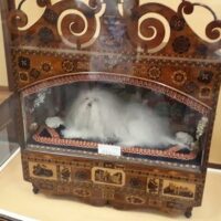 Tunbridge Wells Museum and Art Gallery