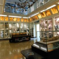 Warrington Museum & Art Gallery