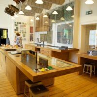 William Morris Gallery