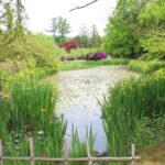 Hammond Museum & Japanese Stroll Garden