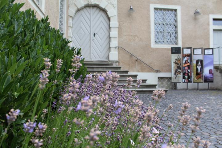 Kunstmuseum des Kantons Thurgau