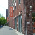 Museum of Contemporary African Diasporan Arts (MoCADA)