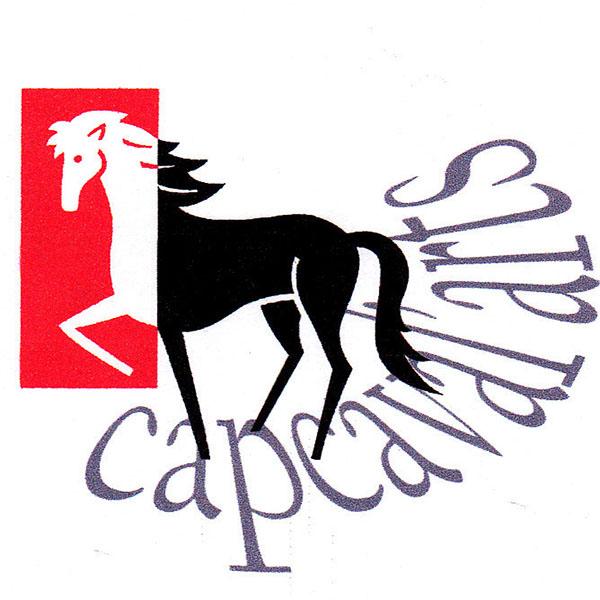 Salon des arts – Cap Caval’Arts
