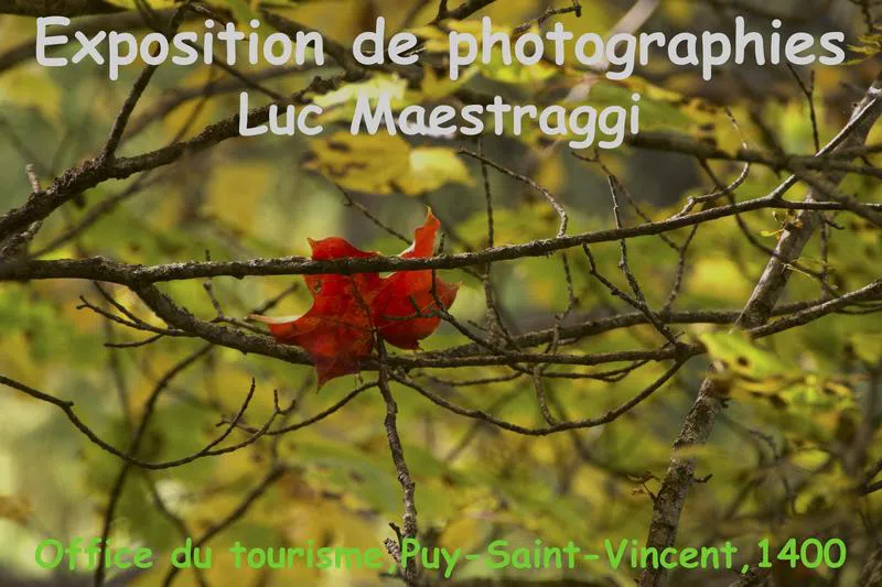 Exposition de photographies de Luc Maestraggi