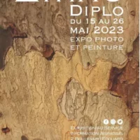 Exposition Diplo
