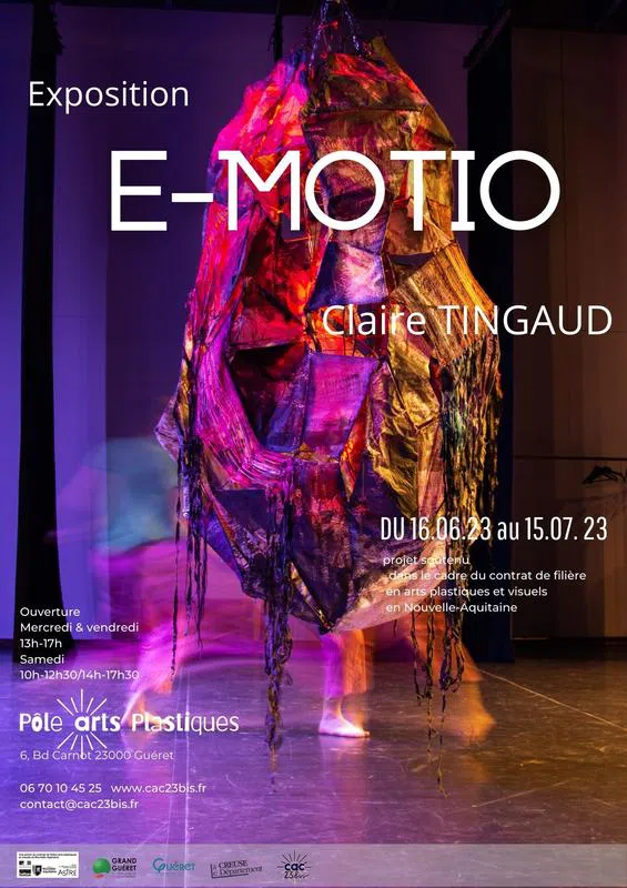 Exposition : E-Motio