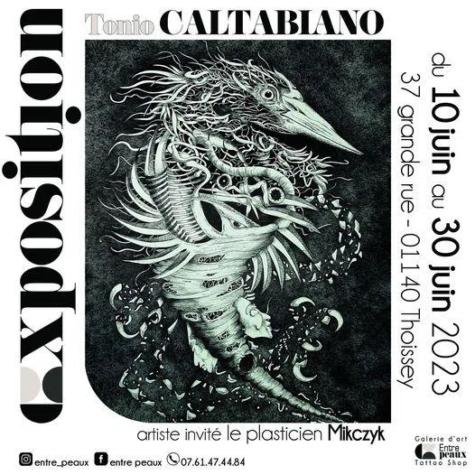 Exposition "Tonio Caltabiano"