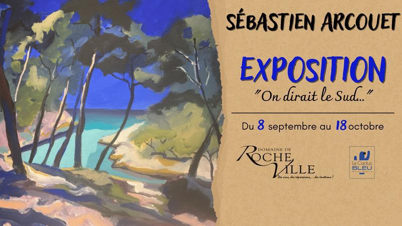Exposition : "on dirait le Sud…” de Sébastien Arcouet