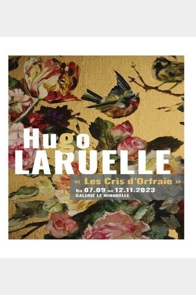Hugo Laruelle - Les Cris d'Orfraie