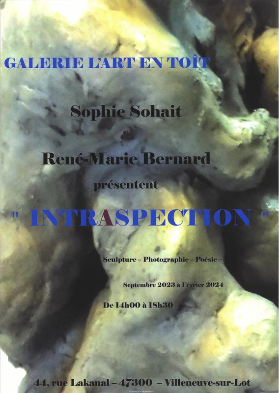 Exposition "Intraspection" - Galerie l'Art en Toit