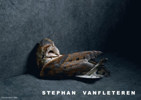 Nature Morte - Still Life : Stephan Vanfleteren