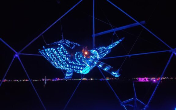 La Baleine - Jean Collin-Satre