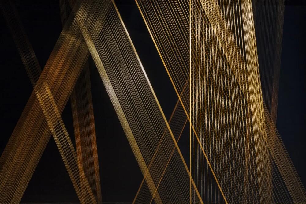 Lygia Pape
