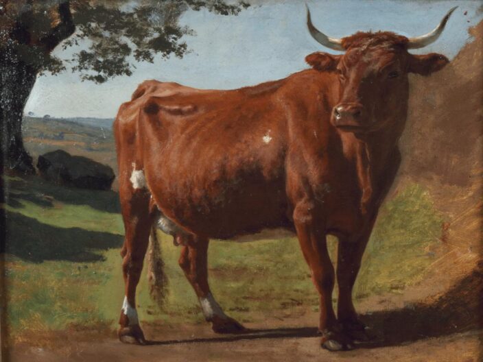 Vache de Salers - Auguste Bonheur
