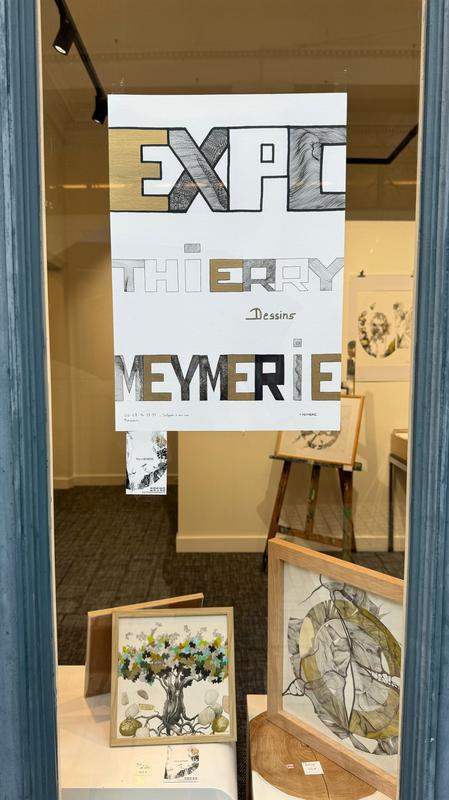 Exposition - Thierry Meymerie