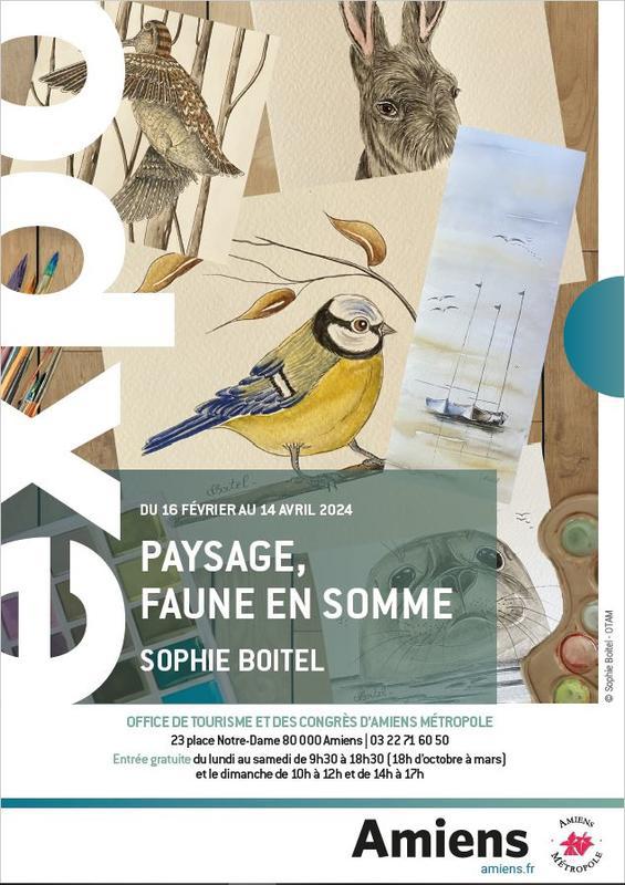 Exposition : « Paysage, Faune en Somme» de Sophie Boitel