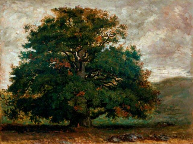 Rousseau, Theodore, 1812-1867; Un arbre dans la forêt de Fontainebleau