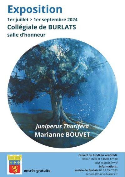 Expositions Marianne Bouvet