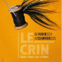 Le crin dans tous ses éclats