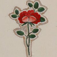 A Rose is a Rose is a Rose : Sidival Fila