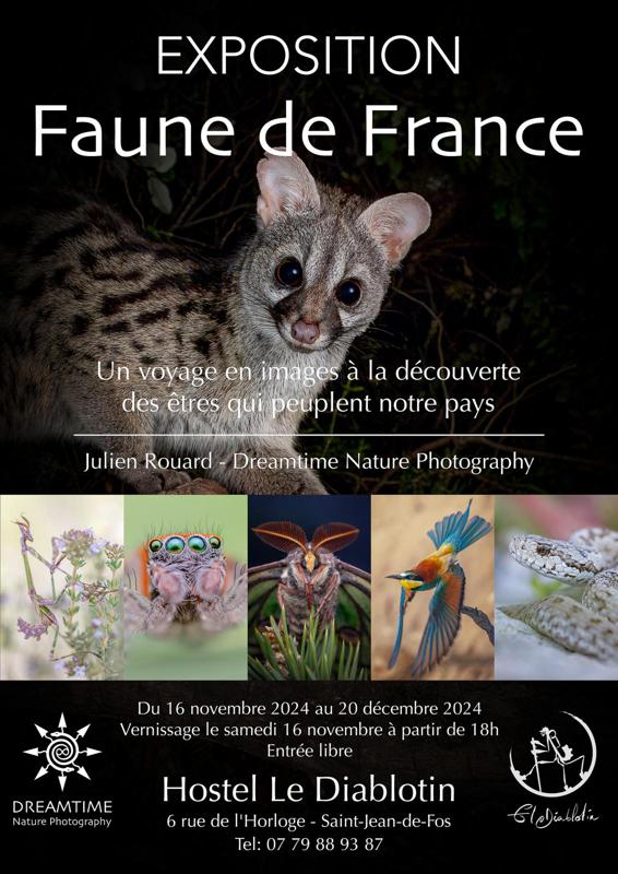 EXPOSITION " LA FAUNE DE FRANCE"