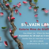 EXPOSITION SYLVAIN LANG