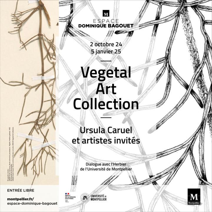 Exposition "Vegetal Art Collection, Ursula Caruel et Artistes Invités. Dialogue avec l’Herbier de l’Université de Montpellier "