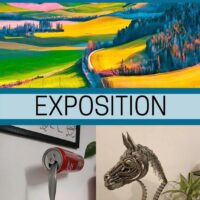 Exposition temporaire "Fer une capture"