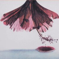 Solanium Baratiae : Christine Crozat & Bertrand Hugues