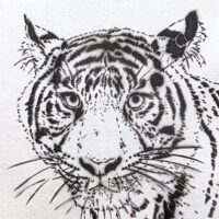 Tigres de papier et autres félins : Mosko