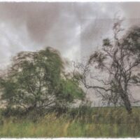 Trees, endure for life : Giljung Yoon