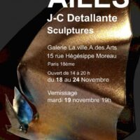 Ailes : Jean-Charles Detallante