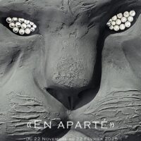 Exposition « En aparté » du sculpteur plasticien Cyril Maccioni- Galerie l'Atelier de Co - Bastia