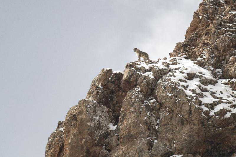 Exposition de photos : Vincent Munier