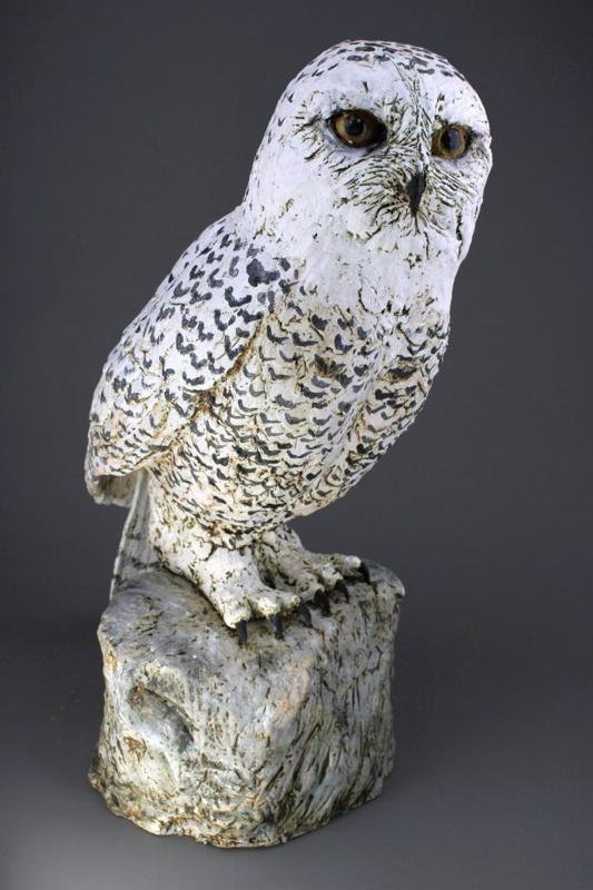 EXPOSITION DE SARA GRACE WEVILL - "BEAUTÉS SAUVAGES : CAPTURER L'ESPRIT ANIMAL"