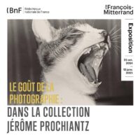 Le goût de la photographie  : Dans la collection Jérôme Prochiantz