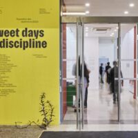 Sweet Days of Discipline