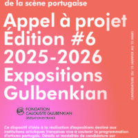 Appel à projets pour les institutions artistiques françaises