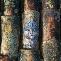 Sur les toits de Provence : Sax