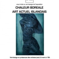 Chaleur Boréale : Art Actuel Islandais