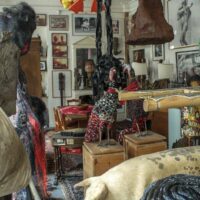 Énormément bizarre : La collection Jean Chatelus