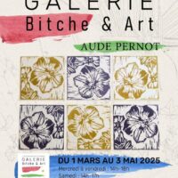 Exposition - Aude Pernot