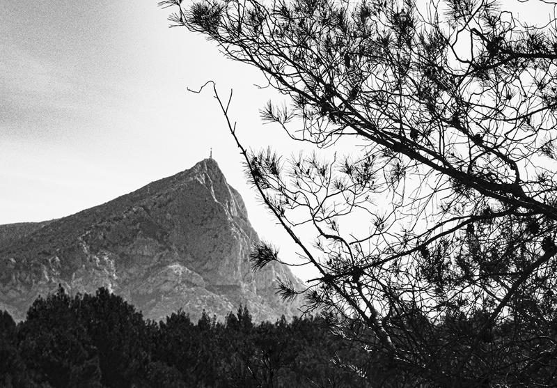 Exposition "La Montagne Sainte Victoire et le pin" peintures à l"encre de Chine et photographies