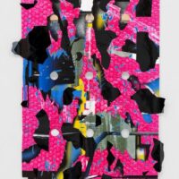 Flowers Bloomed on Acid : Rafael Domenech