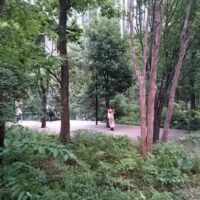 Jardins suspendus : Michel Desvigne Paysagiste